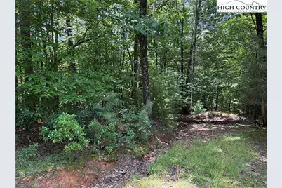 Lot 139 Pine Burr Drive, Purlear, NC 28665 - Photo 14