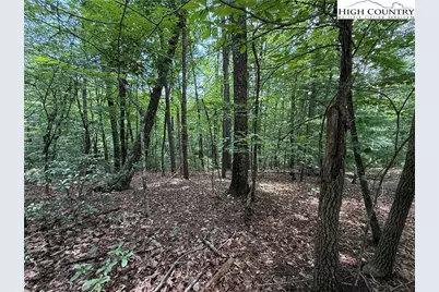 Lot 139 Pine Burr Drive, Purlear, NC 28665 - Photo 6