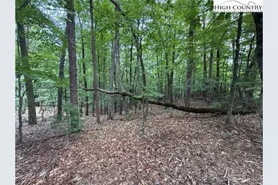 Lot 139 Pine Burr Drive, Purlear, NC 28665 - Photo 10