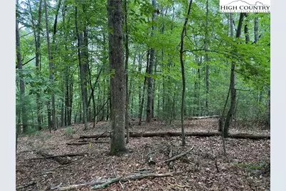 Lot 139 Pine Burr Drive, Purlear, NC 28665 - Photo 4