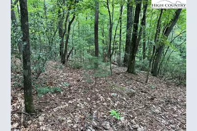 Lot 139 Pine Burr Drive, Purlear, NC 28665 - Photo 8