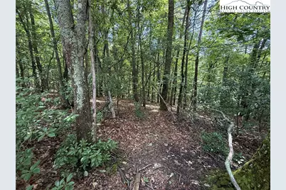 Lot 139 Pine Burr Drive, Purlear, NC 28665 - Photo 6