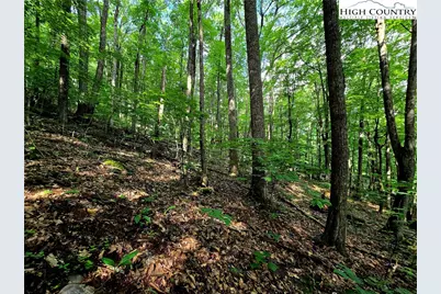 Tbd Red Fox Ridge, Boone, NC 28607 - Photo 8