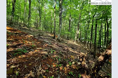 Tbd Red Fox Ridge, Boone, NC 28607 - Photo 12