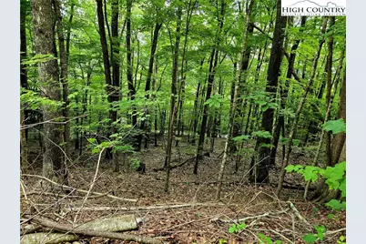 Tbd Red Fox Ridge, Boone, NC 28607 - Photo 6