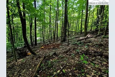 Tbd Red Fox Ridge, Boone, NC 28607 - Photo 10