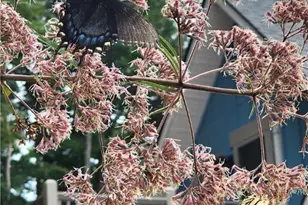 225 Henry's Glen Dr, Morganton, NE 28655 - Photo 44