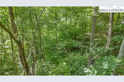 Lot 53 Dream Mountain Road, Grassy Creek, NC 28631 - Photo 4