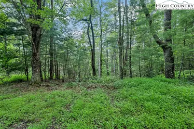 Lot 73 Buckland Road, Grassy Creek, NC 28631 - Photo 4