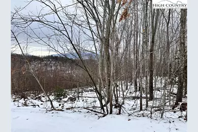 0000 Lot 78 Black Bear Crossing, Elk Park, NC 28622 - Photo 4