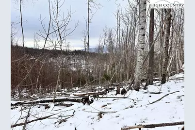 0000 Lot 78 Black Bear Crossing, Elk Park, NC 28622 - Photo 2