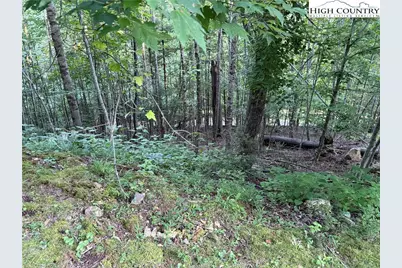 Tbd Bennick Place, Sugar Grove, NC 28679 - Photo 2