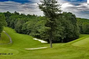 335 Snowshoe Loop, Newland, NC 28657 - Photo 22