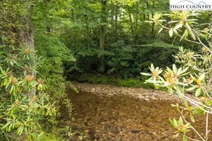 252 Goshen Creek Ln, Boone, NC 28607 - Photo 18