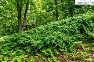 5033 Junaluska Rd, Boone, NC 28607 - Photo 26