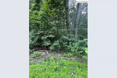 327 Locust Ridge, Beech Mountain, NC 28604 - Photo 4