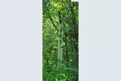 Lot 8 Tbd Lucky Hill Road, Piney Creek, NC 28631 - Photo 6