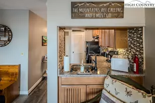 301 Pinnacle Inn Rd, Beech Mountain, NC 28604 - Photo 12