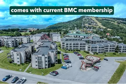 301 Pinnacle Inn Road #4115, Beech Mountain, NC 28604 - Photo 1