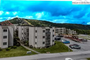 301 Pinnacle Inn Rd, Beech Mountain, NC 28604 - Photo 32