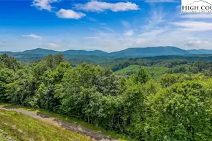 321 Laurel Highlands Dr, Grassy Creek, NC 28631 - Photo 12