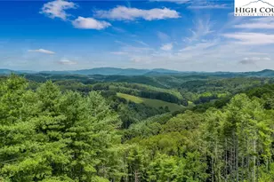 321 Laurel Highlands Dr, Grassy Creek, NC 28631 - Photo 8