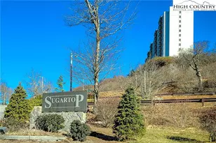 303 Sugar Top Dr, Sugar Mountain, NC 28604 - Photo 34