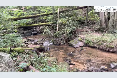 1980 Mountain Dale Road, Vilas, NC 28692 - Photo 4