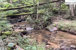 1980 Mountaindale Rd, Vilas, NC 28692 - Photo 4