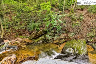 949 Coy Ham Rd, Lansing, NC 28643 - Photo 44