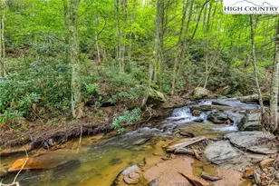 949 Coy Ham Rd, Lansing, NC 28643 - Photo 10