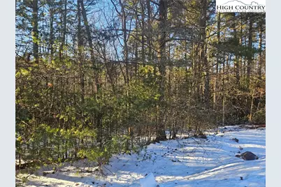 Tbd Holly Run, Glade Valley, NC 28627 - Photo 10