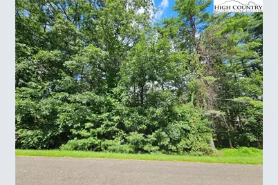 Tbd Holly Run, Glade Valley, NC 28627 - Photo 4