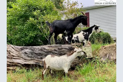 261 Tumbling Brook Drive, Banner Elk, NC 28604 - Photo 4