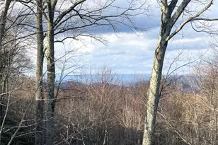 710 Pine Ridge Rd, Beech Mountain, NC 28604 - Photo 6