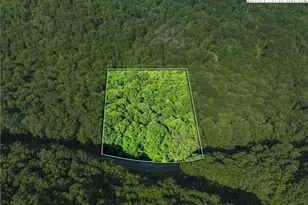 303 Locust Ridge Rd, Beech Mountain, NC 28604 - Photo 1