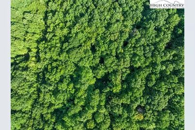 303 Locust Ridge Road, Beech Mountain, NC 28604 - Photo 24