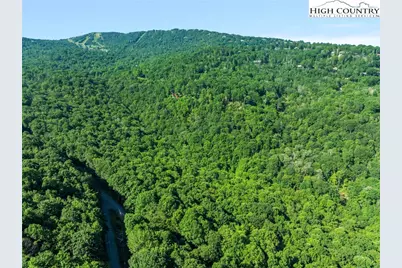 303 Locust Ridge Road, Beech Mountain, NC 28604 - Photo 10