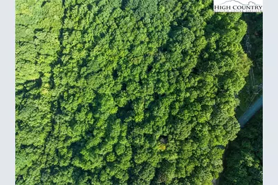 303 Locust Ridge Road, Beech Mountain, NC 28604 - Photo 26