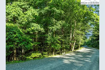 303 Locust Ridge Road, Beech Mountain, NC 28604 - Photo 2