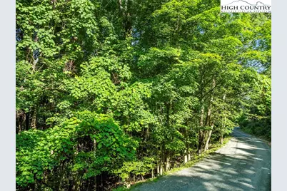 303 Locust Ridge Road, Beech Mountain, NC 28604 - Photo 4