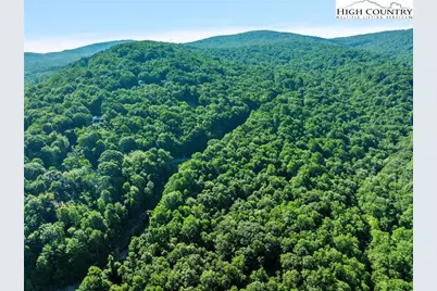 303 Locust Ridge Road, Beech Mountain, NC 28604 - Photo 14