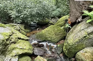 Lot 39 Mossy Creek Ct, Boone, NC 28607 - Photo 24