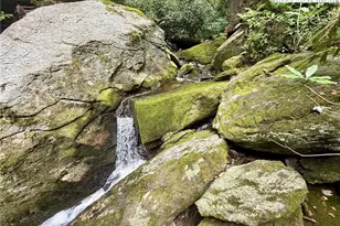 Lot 39 Mossy Creek Ct, Boone, NC 28607 - Photo 18