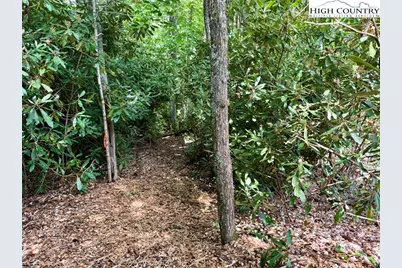 Lot 39 Mossy Creek Court, Boone, NC 28607 - Photo 16