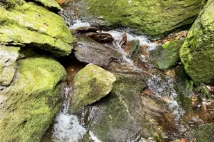 Lot 39 Mossy Creek Ct, Boone, NC 28607 - Photo 20