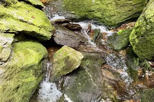 Lot 39 Mossy Creek Ct, Boone, NC 28607 - Photo 20