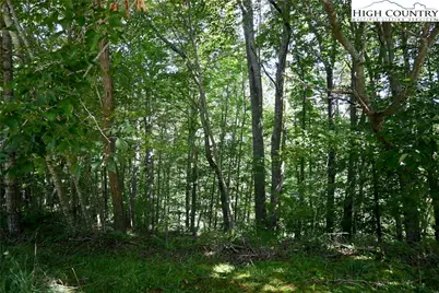 38 Turkey Ridge S. Road, Lansing, NC 28643 - Photo 10