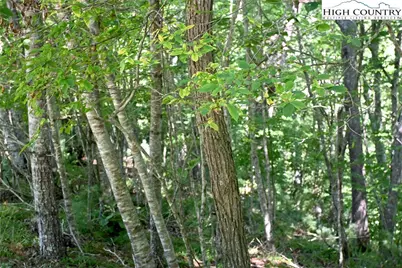 38 Turkey Ridge S. Road, Lansing, NC 28643 - Photo 8