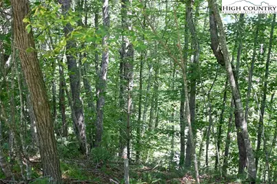 38 Turkey Ridge S. Road, Lansing, NC 28643 - Photo 6